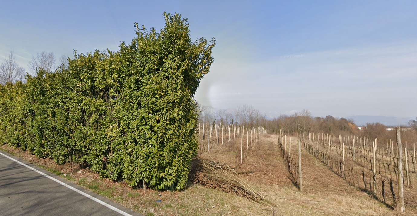 TERRENO AGRICOLO - Slideshow 6